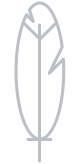 Apaxy logo
